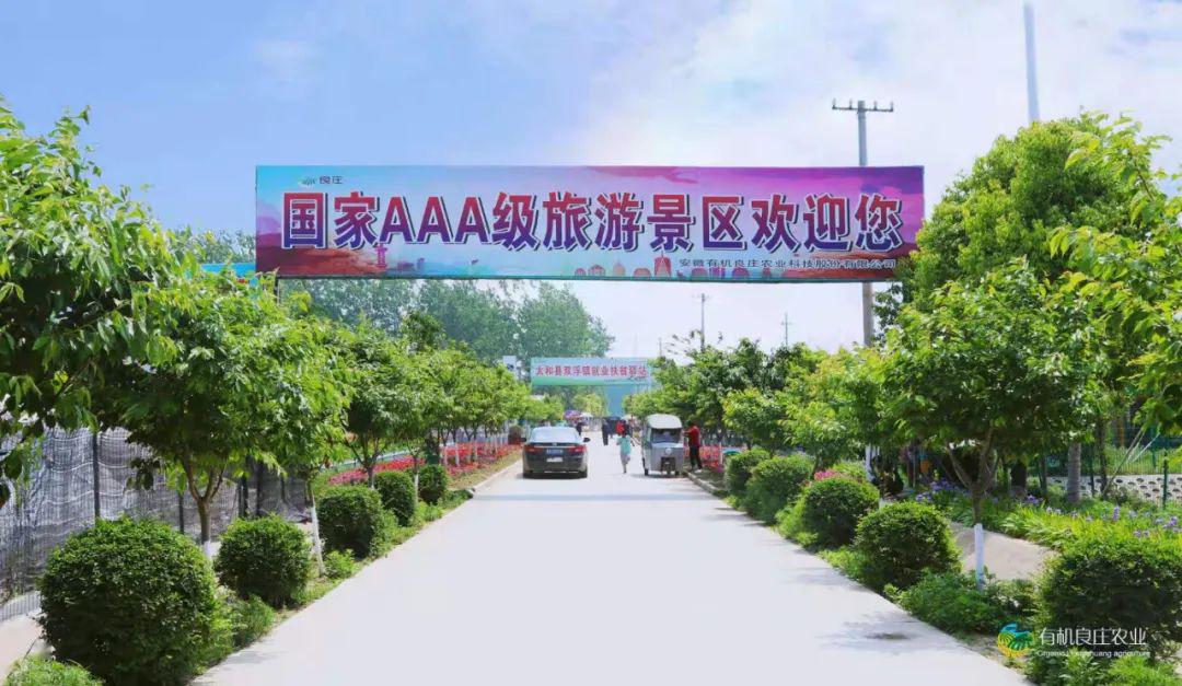 安徽文旅系列品牌2019年度安徽省百佳农家乐蚌埠阜阳篇