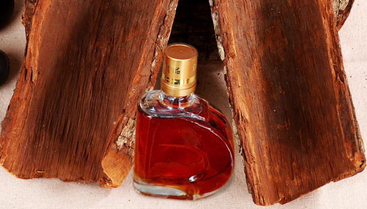 卡宾达树皮的正确吃法你知道多少呢