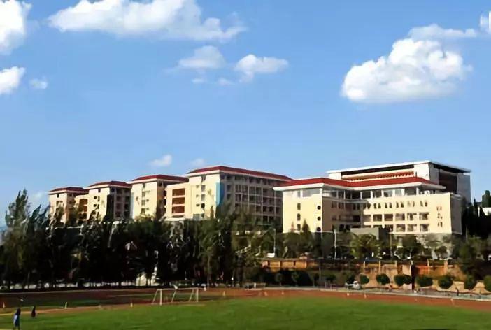 云南这8校入选全国典型临沧一所高校入选