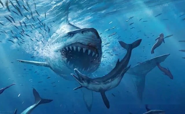 达70吨的巨大鲨鱼,咬合力可以达到20吨左右,配上如刀片一般锋利的巨齿