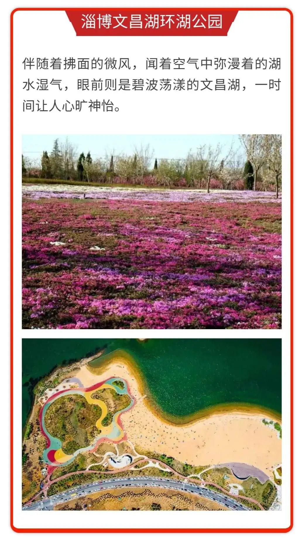 文昌湖花海位置红桥图片