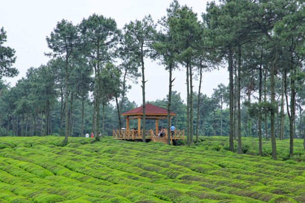 百峰岭:田园风光中的马术表演与汉服大片,是遇见旅途的最好方式