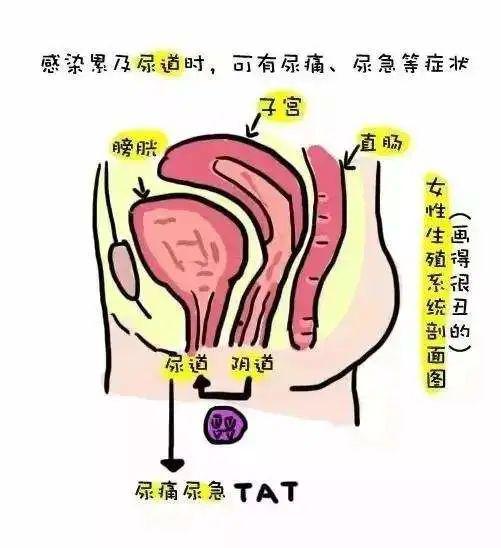 瘙痒你有过内心千万头羊驼奔腾的体验吗