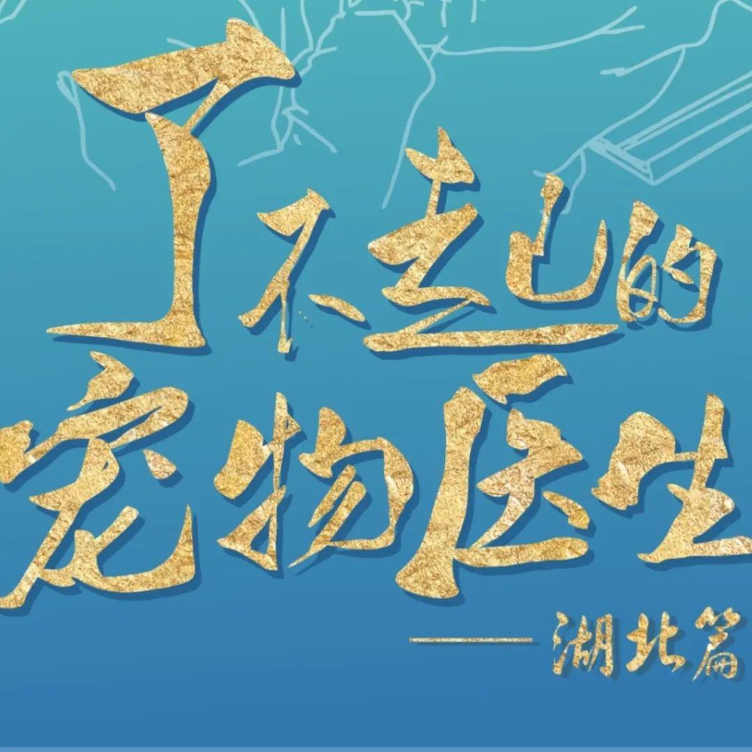 了不起的宠物医生倒计时1天为我们最美逆行者投票加油