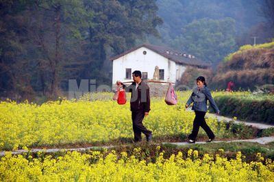 原创乡下人也需要得到城市文明的待遇