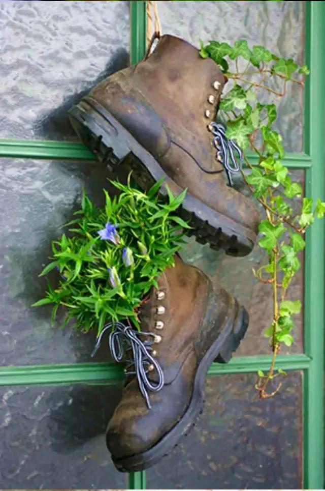 【巧妈小妙招】穿完的旧鞋子来种花,分分钟美爆你的家!