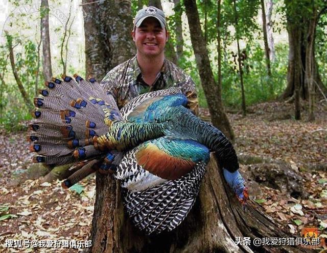 多彩墨西哥——第二篇之探秘墨西哥雨林里大家不知道的神秘动物