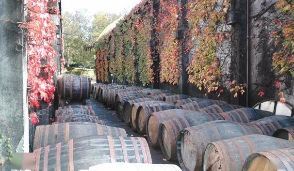 盘点那些黄金大麦产的威士忌