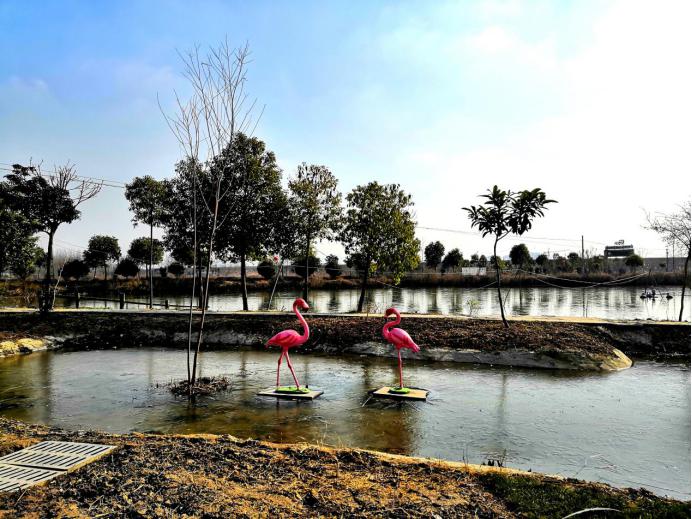 农庄及周边土质为沙土,沙沟西瓜,沙沟萝卜都属于地方特产,甜脆可口