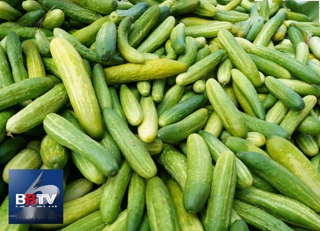 博白黄瓜皮白粥夏日酸爽好滋味