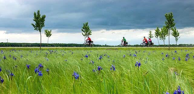 兴凯湖之夏,是北方的一道风景线_夏天