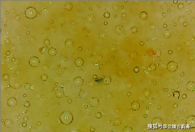 我的镇斋之宝29宋定窑淡褐釉高浮雕莲瓣纹盖碗