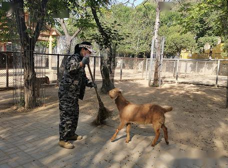 向劳动者致敬:小城家的饲养员们!