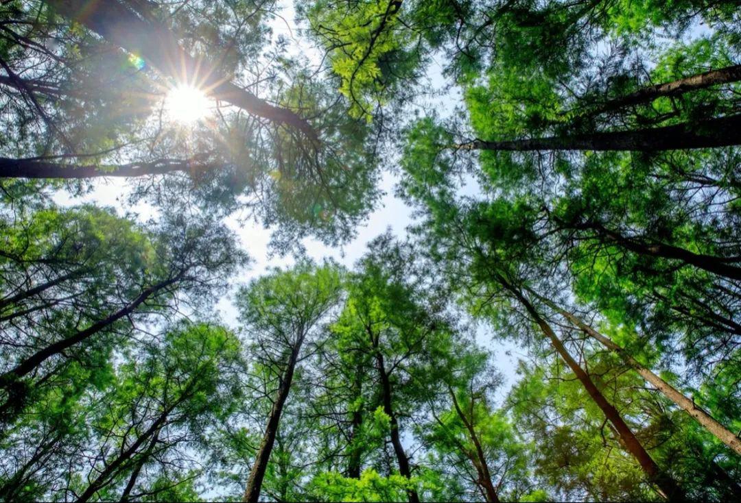 大自然分享别去桂林了马鞍山周边就私藏一处绝美山水门票还免费