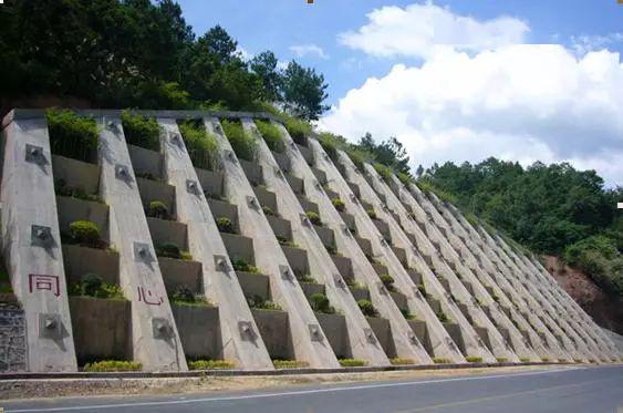 锚杆混凝土框架植草图片