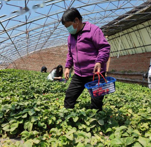 五一小长假,来查干湖游玩加采摘吧