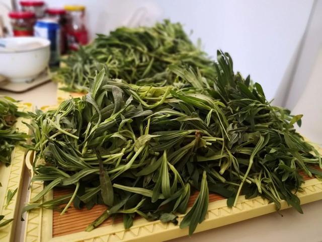 这菜只有麦子地里有,比荠菜,马生菜还好吃,网友:来我地里拔吧_野菜