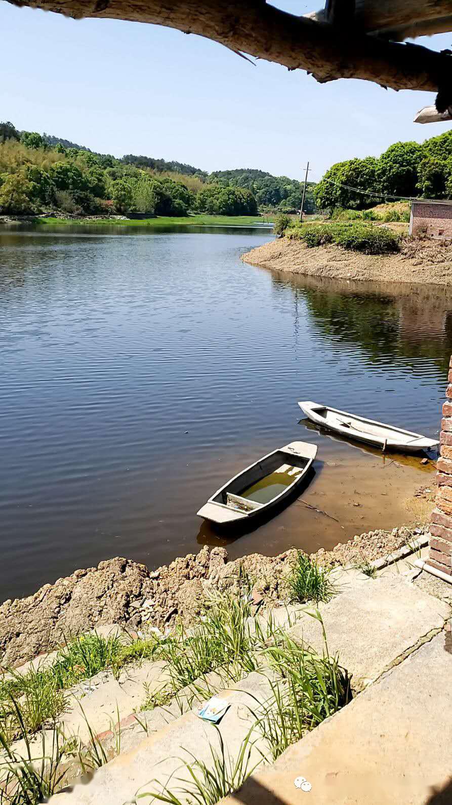 选对产品池塘肥水不再是难题