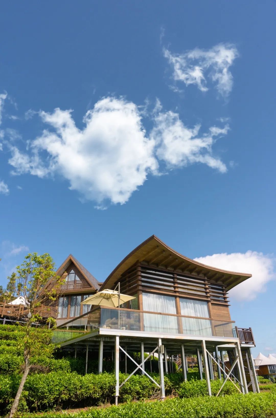 一天一点普洱1751卫星出席普洱倚象山半山酒店试营业暨云缦营汽车旅游