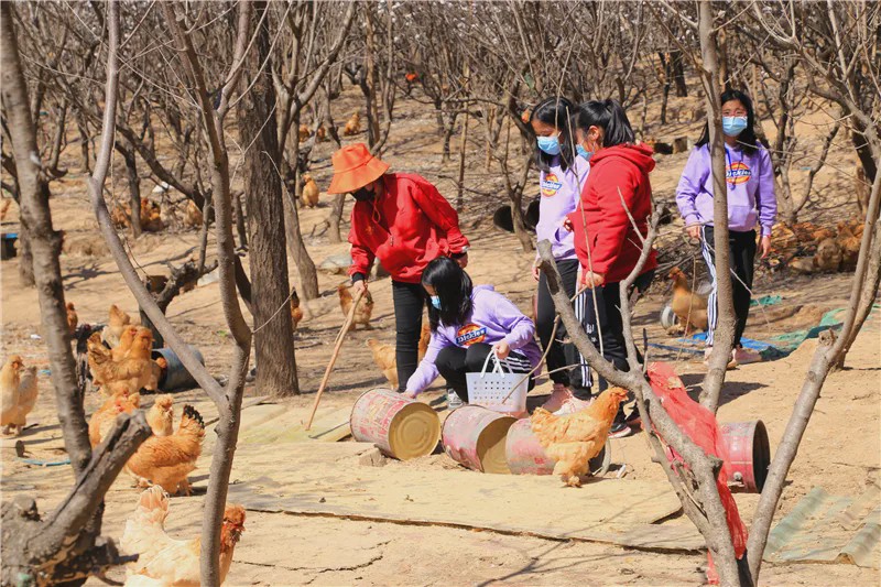 通州土橋地鐵站乘坐802路公交車到大耕垡村,右轉西行150米即到.