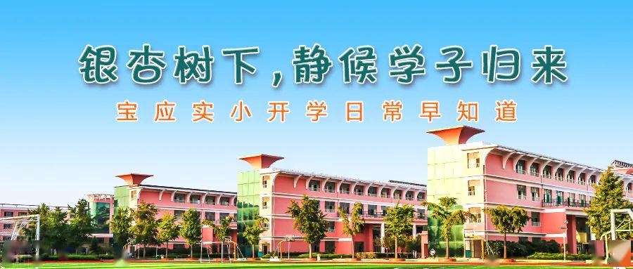宝应县实验小学复学报到须知_免责