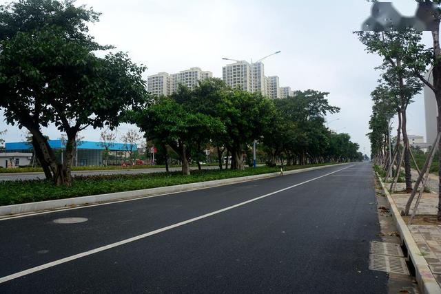 北海南珠大道附近又动工了可能要搞一个城市绿地
