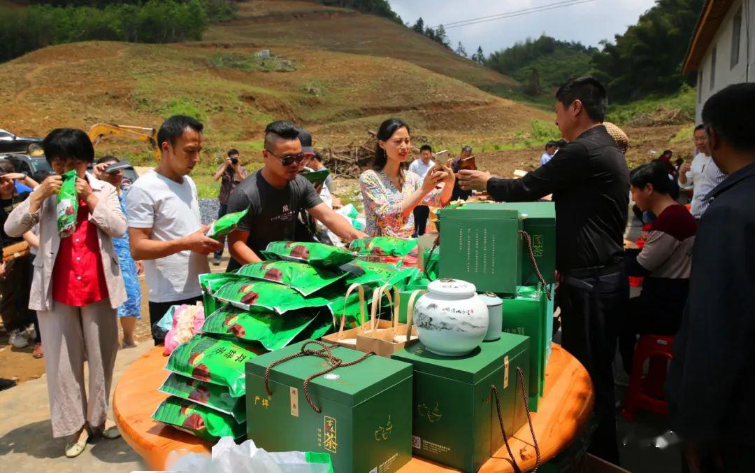 消费扶贫签约带货樟村镇广平村扶贫茶叶受游客青睐