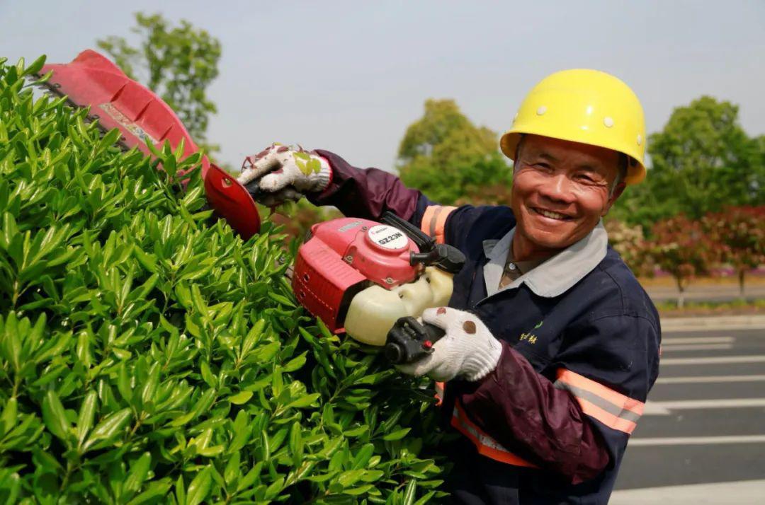 宁波镇海春风里劳动者的笑脸最美
