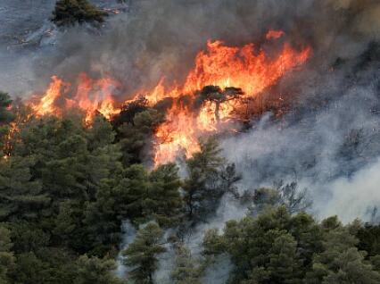 过火面积500亩撤离4500人河南辉县森林大火被扑灭