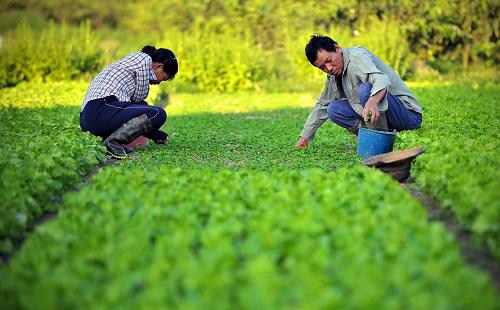 劳动节 | 致敬每一位辛勤奋斗的劳动者!