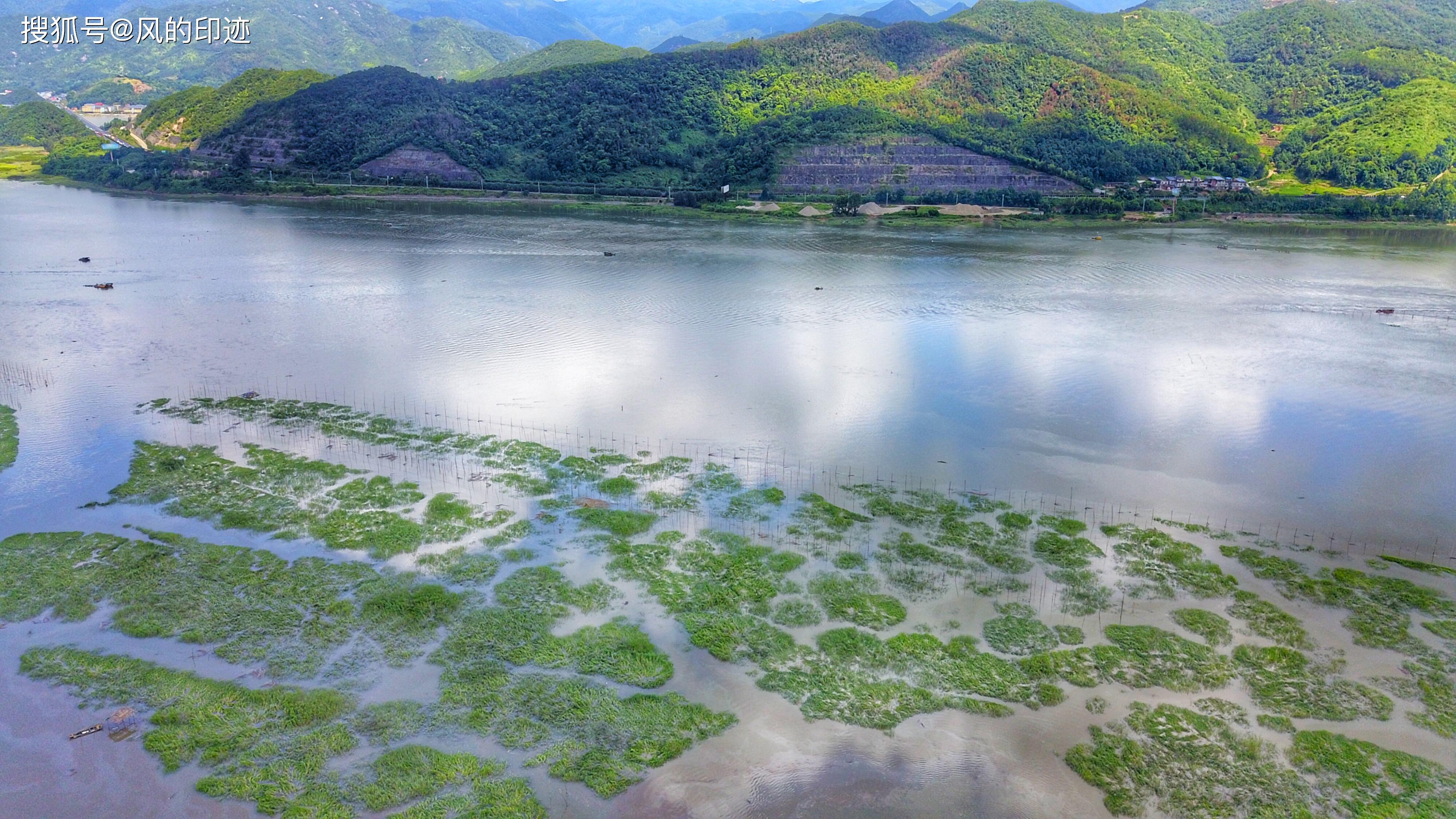 原创海岸卫士红树林海边人家的沧海桑田摄影人眼里的山水田园