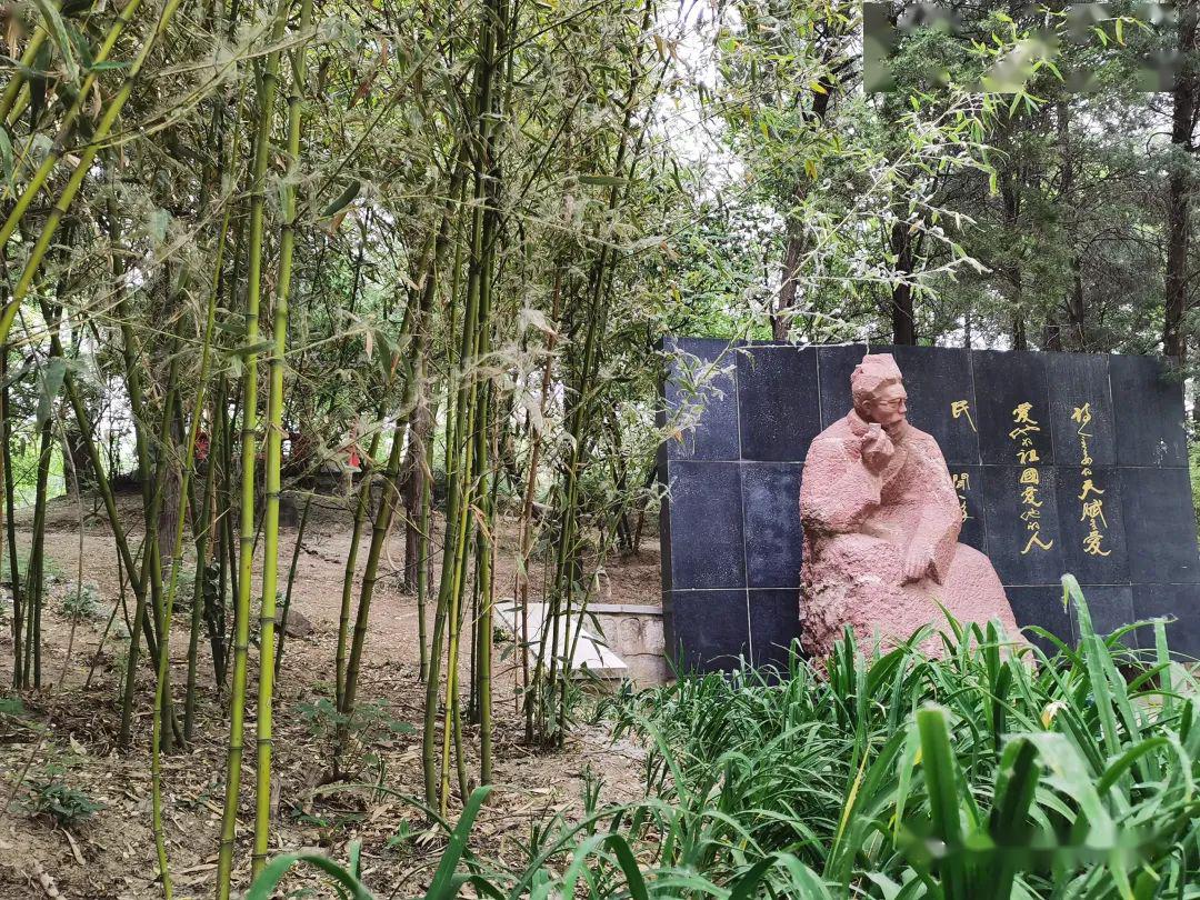 二月兰/清华英烈碑.绣线菊与韦杰三烈士纪念碑.校医院旁的灯台树.