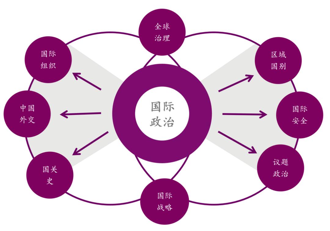 政府管理学院专业推介国际政治