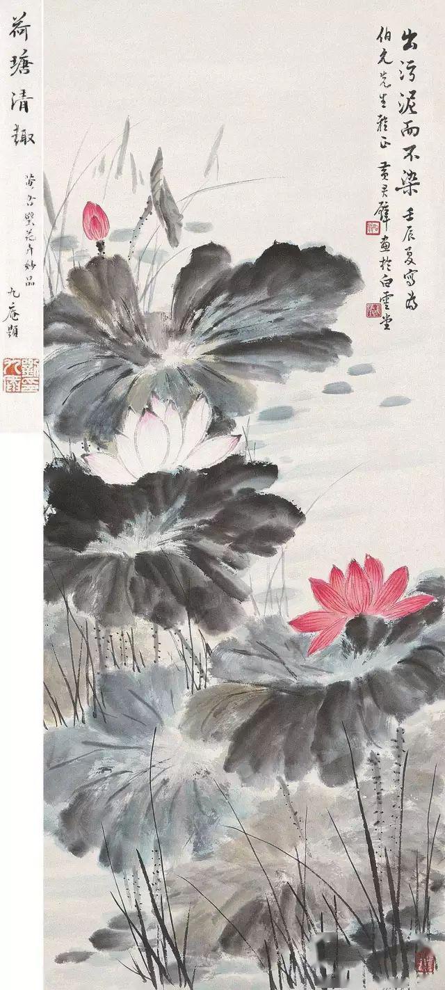 四十位现当代名家笔下的荷,精彩!_荷花