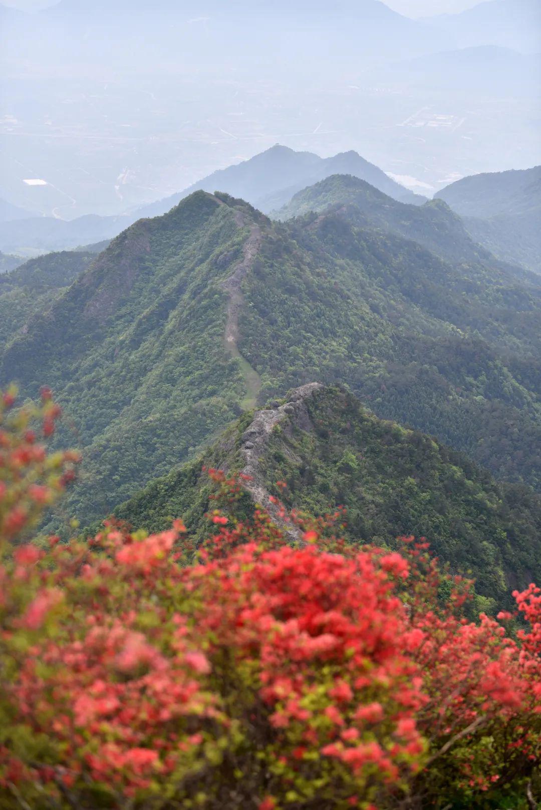 天台大雷山景区图片