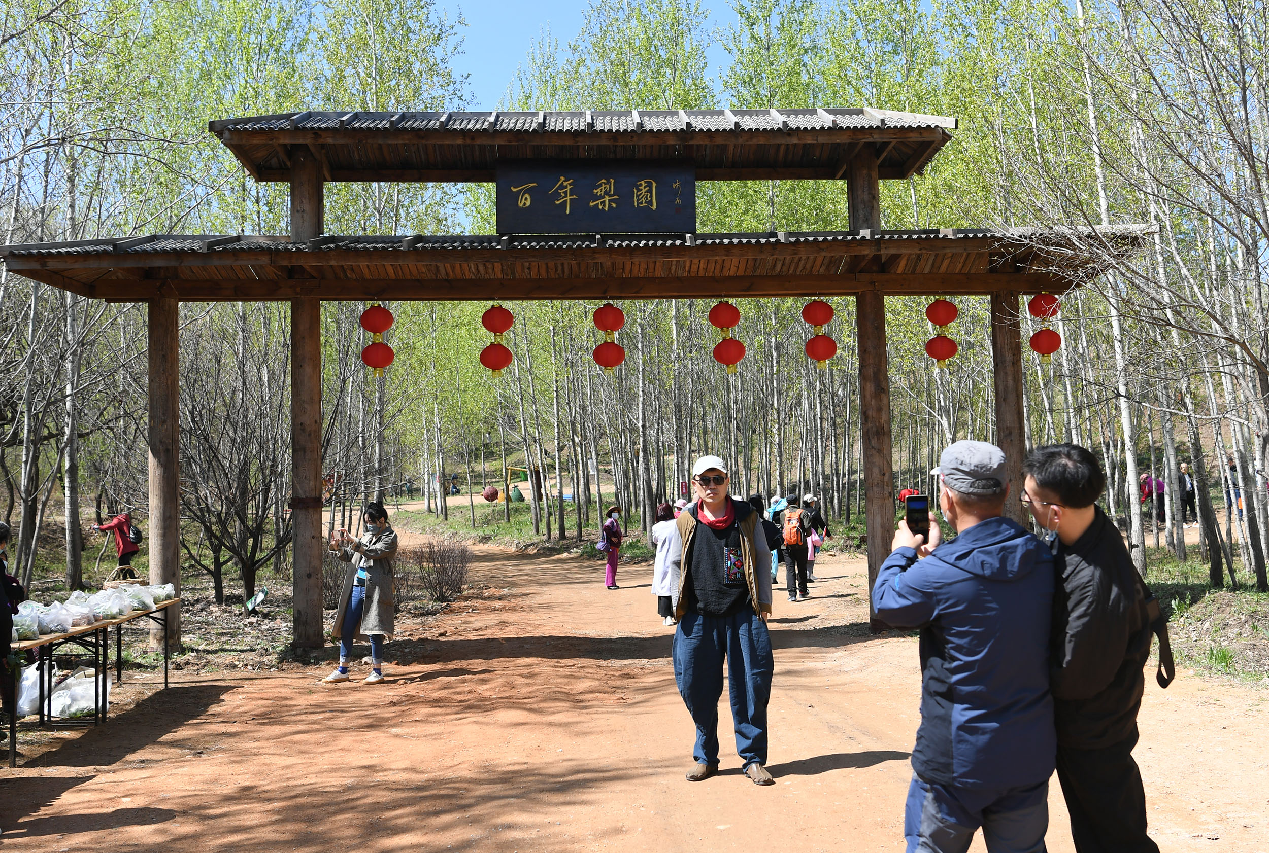 莲花山百年梨园地址图片