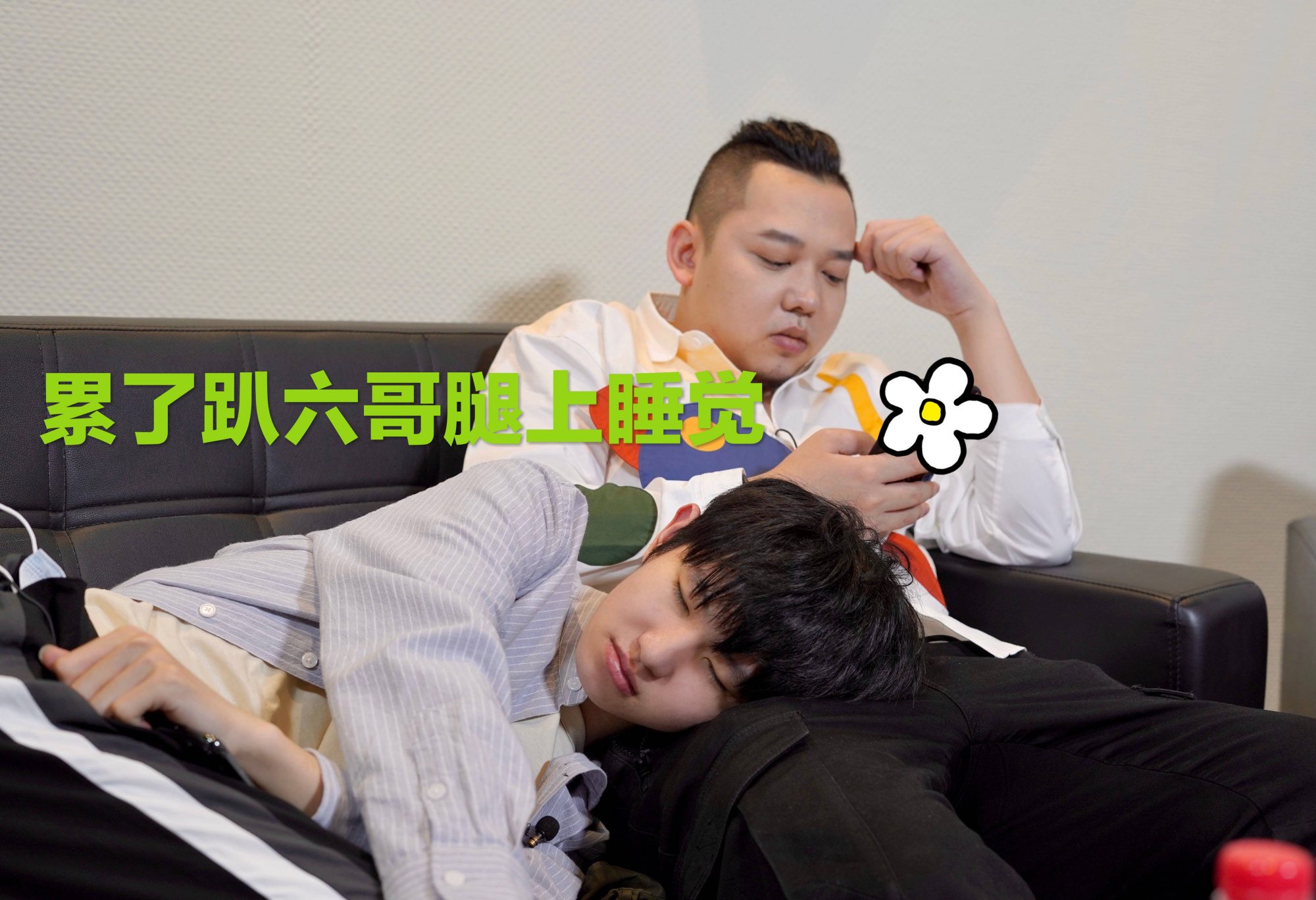 原创ag一诺和六点六情同手足年纪相差7岁趴六哥腿上睡觉好温馨