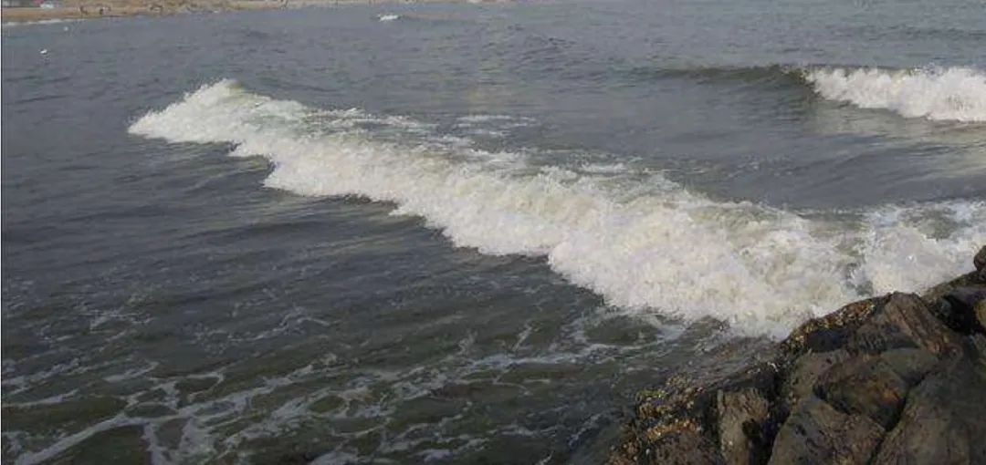 长江后浪推前浪巨婴死在沙滩上