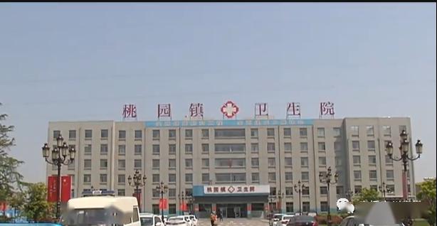 致敬最美逆行者桃园镇卫生院建堡垒战疫情