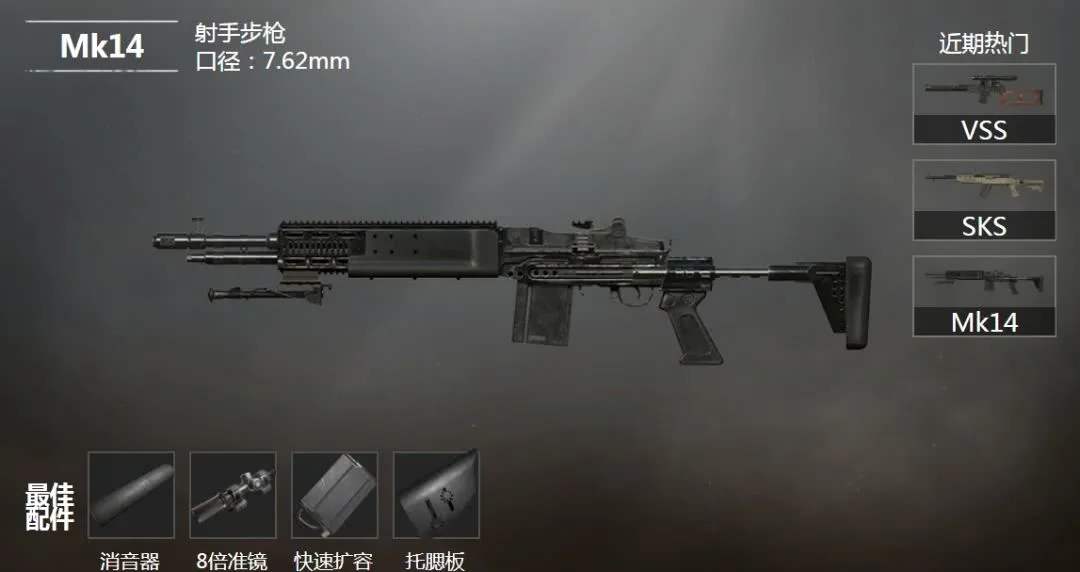 在游戏中有着很大的连狙伤害,在所有连发狙击中是最高伤害的一把枪械