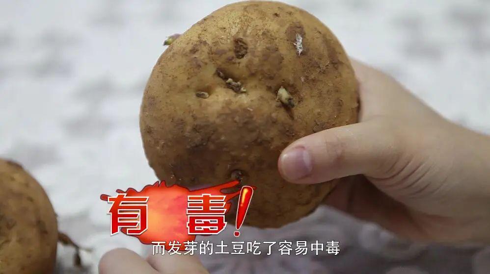 误食发芽土豆容易中毒一招有效预防土豆发芽