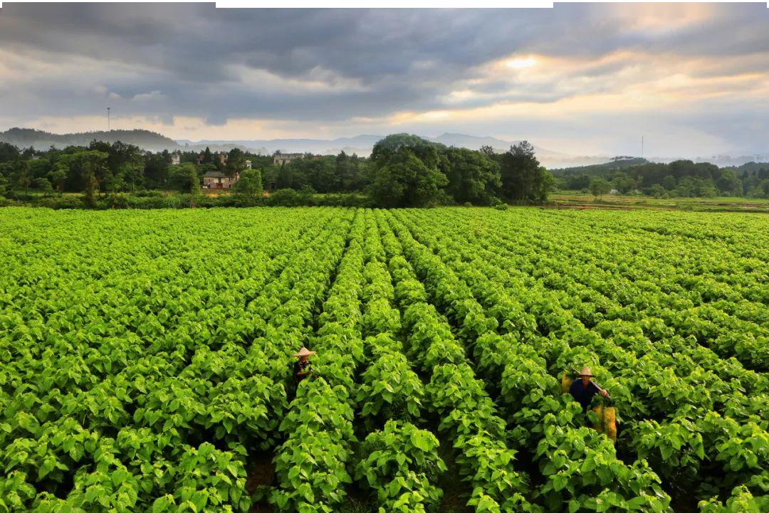 永新县脱贫攻坚摄影作品欣赏二