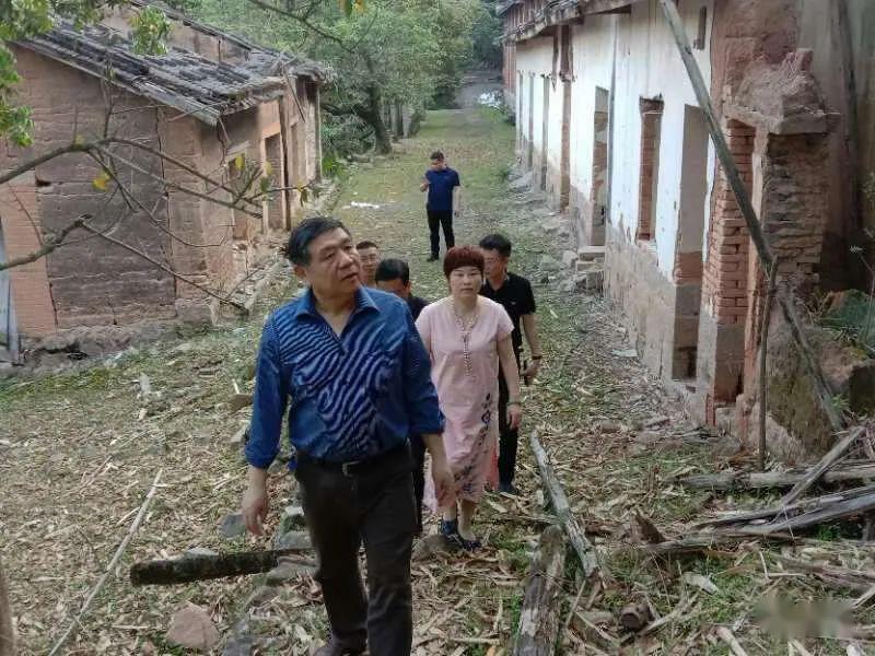 专题陈君琛教授莅临梦寐太学福建运营中心调研