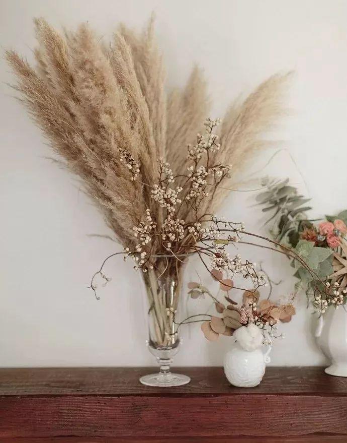 她用这种高颜值的干花装饰家里隔壁邻居都惊叹不已