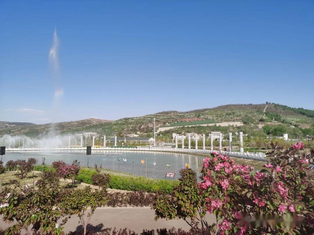 康乐县牡丹园情暖五月众手植国色天香犹自来