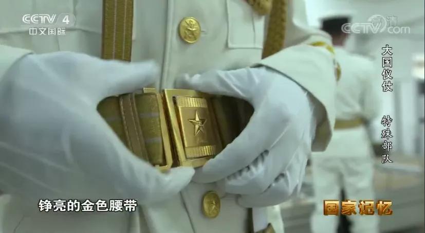 纪录片《大国仪仗》截图然而,在60多年前,人们却很难从军服上识别出