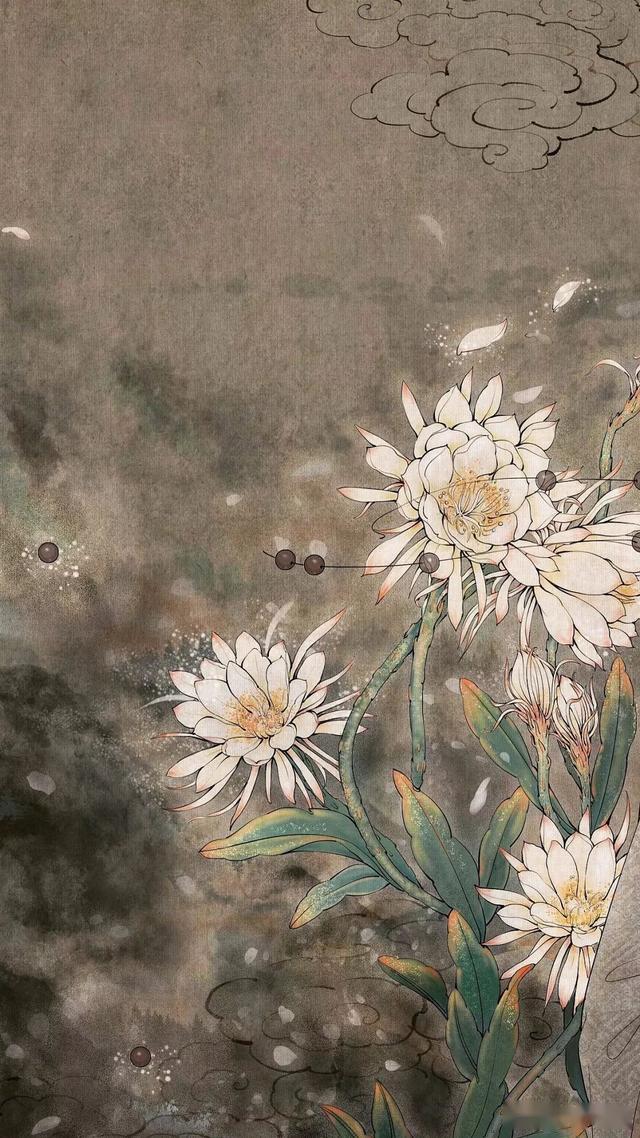 古色古香香艳极致每一张作品都惊艳时光