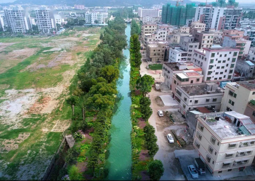 让河更畅,水更清,景更美!斗门又有12条河涌"动手术"