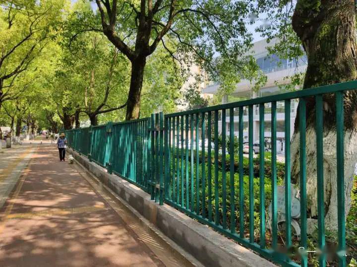 活久见之湖大修围墙了?_校区