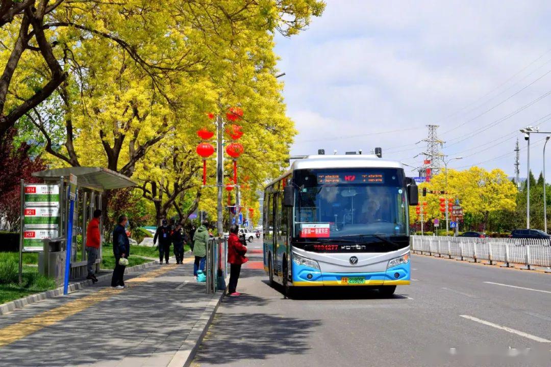 城市内,交通压力主要集中在公园及景区周边,如:北京植物园,奥林匹克